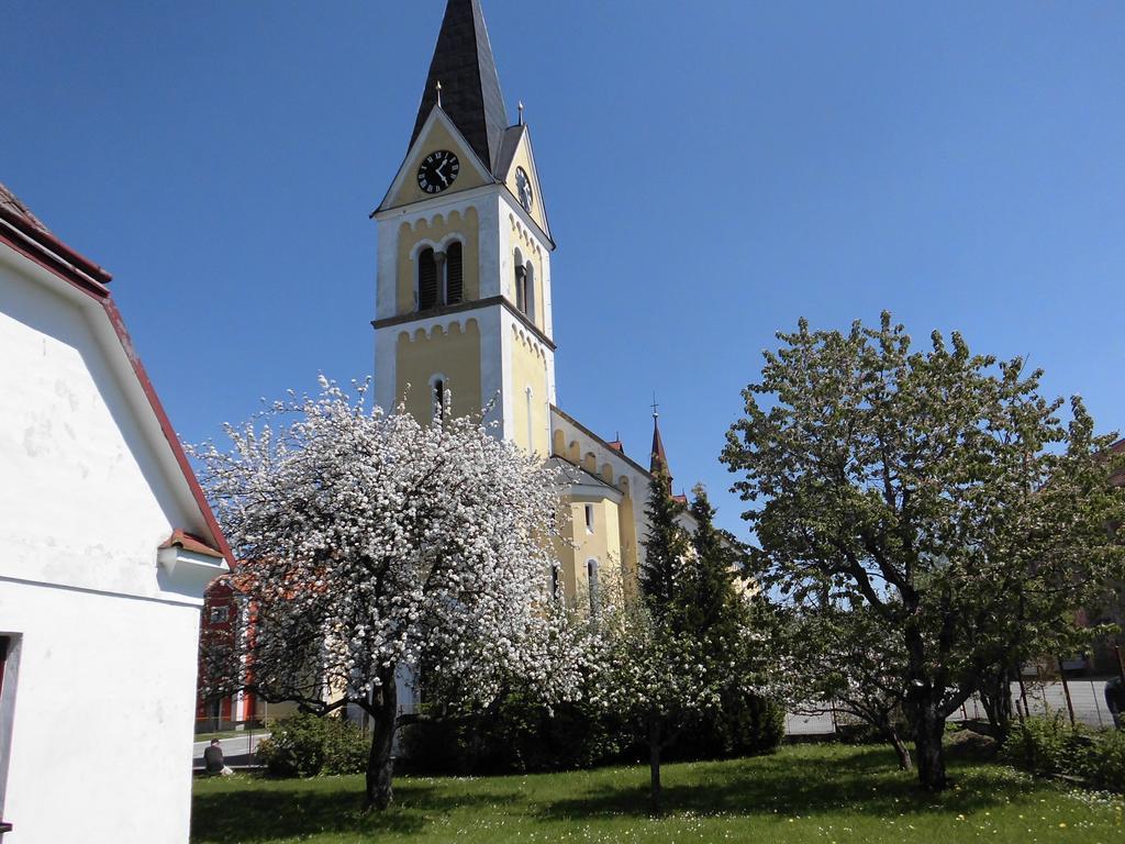 Černá v Pošumaví Abc Apartments מראה חיצוני תמונה
